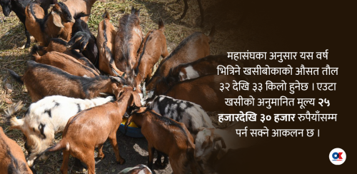 बेहाल राजमार्ग, दशैंमा सजिलै पाइएला खसीबोका ?