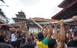 इन्द्रजात्राको साइत सार्वजनिक, भोलि लिङ्गोका लागि रुख काटिने