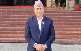 एमालेमा केन्द्रीय कमिटी बैठक तत्काल बोलाउन माग