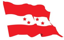 कांग्रेस विशेष महाधिवेशन पक्षधरको भेला आज