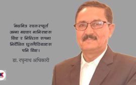 जेन-जी विद्रोहपछि कसरी जोड्ने राज्य र जनता?