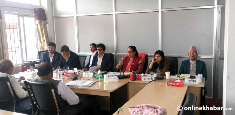 समय मागेर बैठकबाट हिँडिन् मन्त्री न्यौपाने, फुकेन निजामती विधेयकमाथिको गाँठो