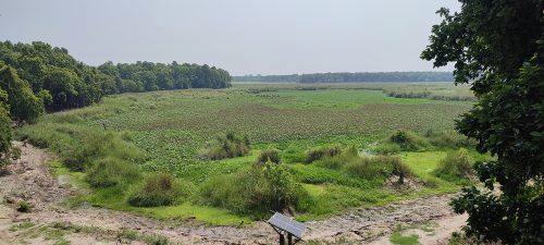 जलवायु परिवर्तनका दुष्प्रभाव : सुक्दै शुक्लाफाँटा निकुञ्जका ताल