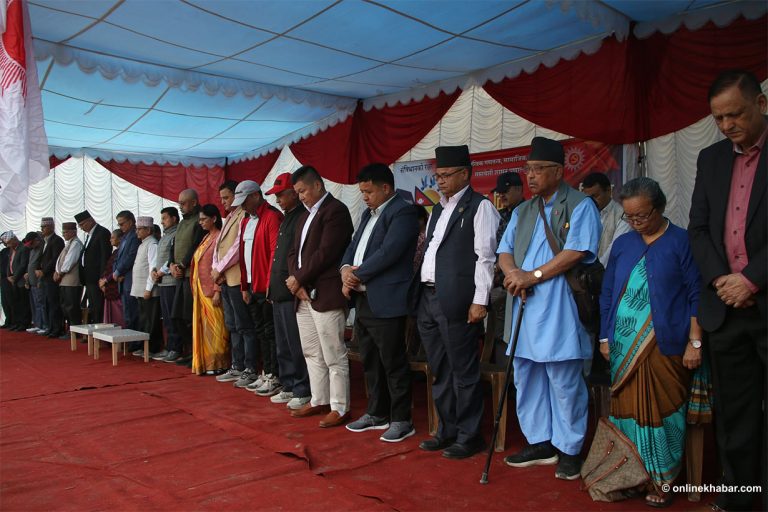 एमालेले केपी ओलीविनै मनायो संविधान दिवस (तस्वीरहरू)