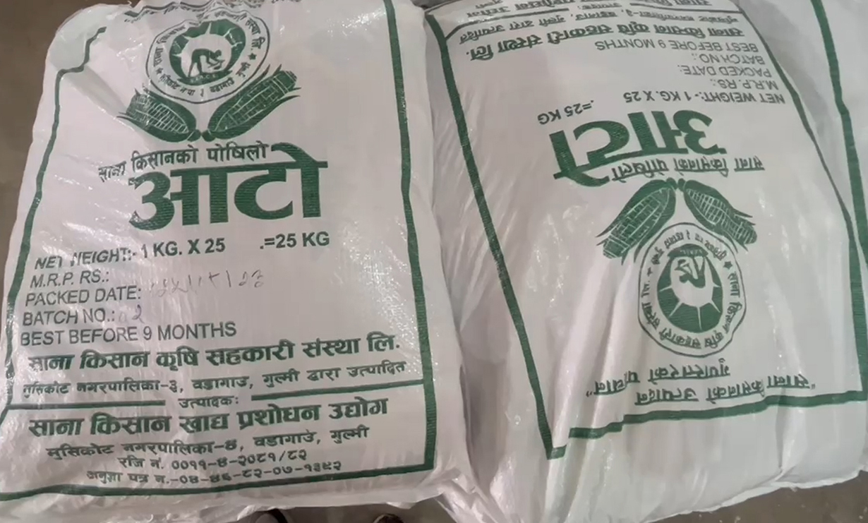 गुल्मीको मुसिकोटमा आटोको ब्राण्डिङ, ३५ टन बिक्री गर्ने लक्ष्य
