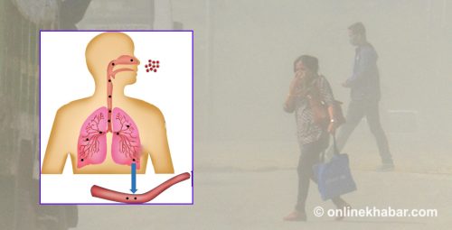 वायु प्रदूषणको असर : समयभन्दा छिटो बुढो हुँदै मुटुका रक्तनली