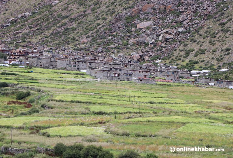 लिमीका जनताको पीडा : घाम लागे फाेन सम्पर्क हुन्छ, पानी परे ठप्प