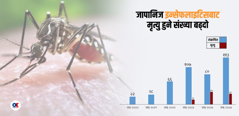 जापानिज इन्सेफ्लाइटिस : तराईमा ३६ जिल्लामा फैलियो, २३ जनाको मृत्यु