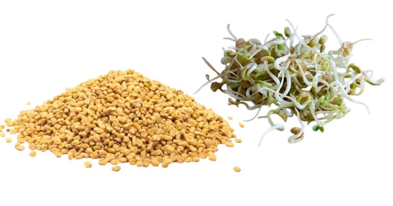 के खाली पेटमा मेथी खानु मुटुका लागि फाइदाजनक छ ?