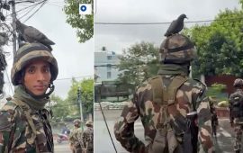 सैनिकको शिरमा परेवा