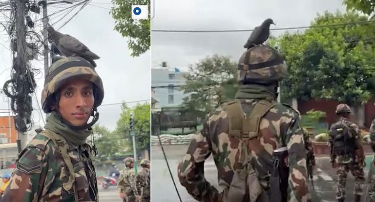 सैनिकको शिरमा परेवा
