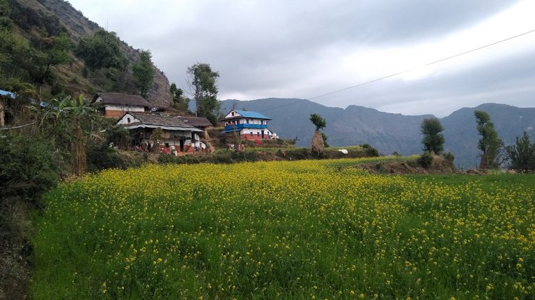९ रोचक कुरा, किन मान्छेलाई गाउँघर प्यारो लाग्छ ?