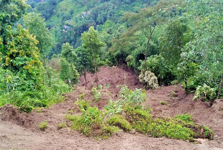 इलाम बाढीपहिरोमा मृत्यु हुनेको संख्या ३९ पुग्यो