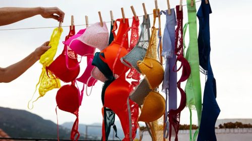 महिला र पुलिस मिलेर किन बनाए ब्राको पहाड ?