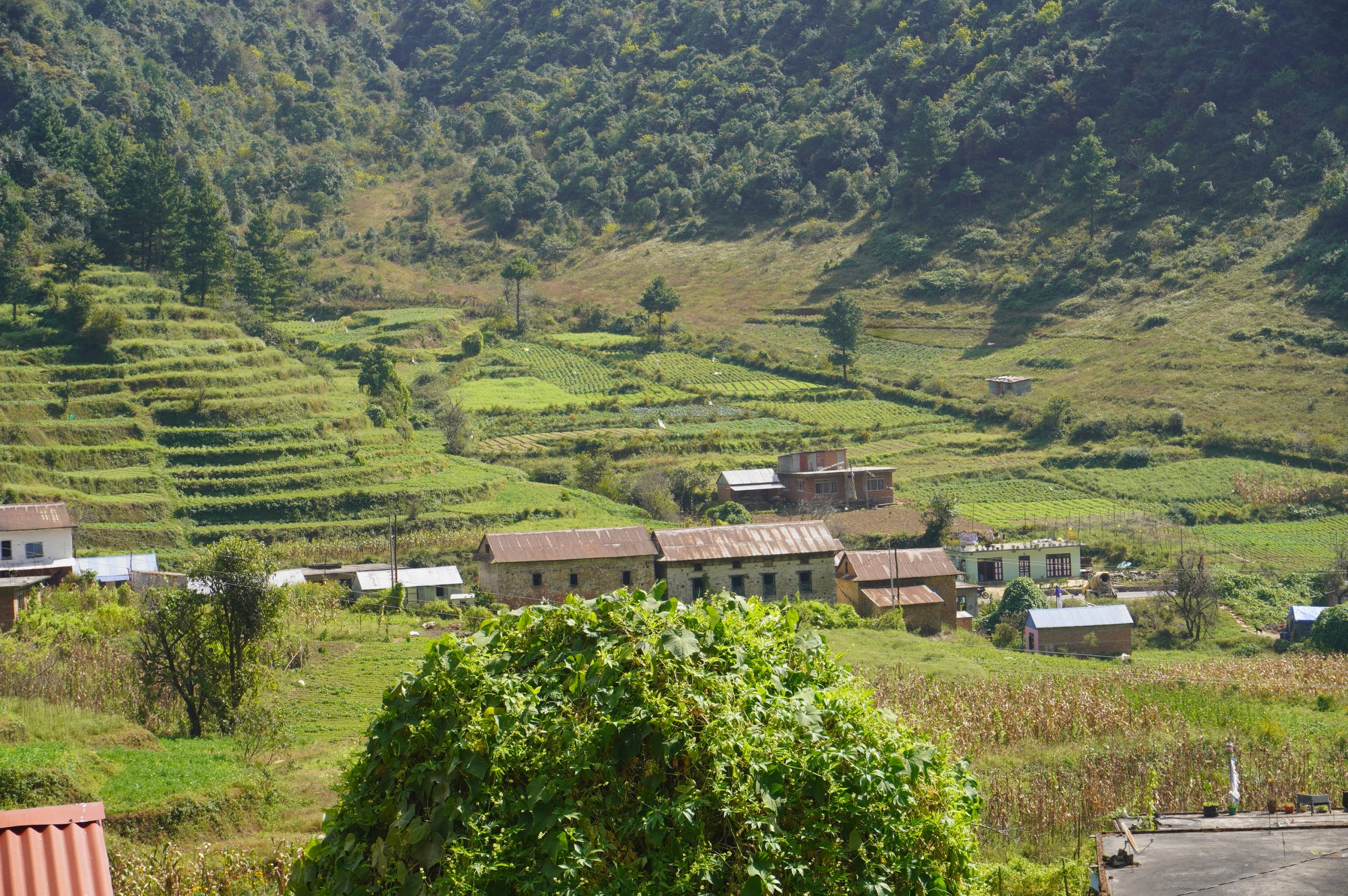 युवालाई आत्मनिर्भर बनाउँदै ‘चखेल’