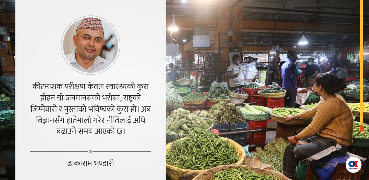 फलफूल र तरकारीमा विषादी: अब गम्भीरतापूर्वक मापन गर्नुपर्छ