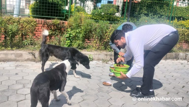 कुकुर–बिरालाका आहार निर्यात गरेर नेपालले भित्राउँछ करोडौं विदेशी मुद्रा