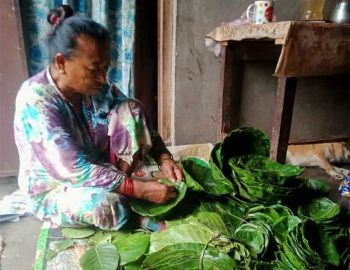 दुना टपरी बिक्रीबाट आकर्षक आम्दानी