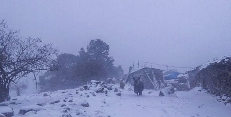 सगरमाथा क्षेत्रमा बाक्लो हिमपात, बाहिर निस्कनै गाह्रो