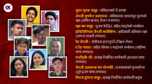 जेनजीका थरीथरी समूह, फरक-फरक माग