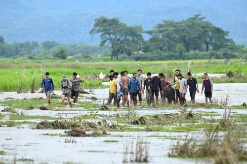 बाढीमा बगेका हात्तीको छावालाई उद्धार गरेर आमासँग पठाइयो