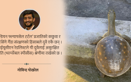 ‘पुतली कछुवा’ पछ्याउँदा…