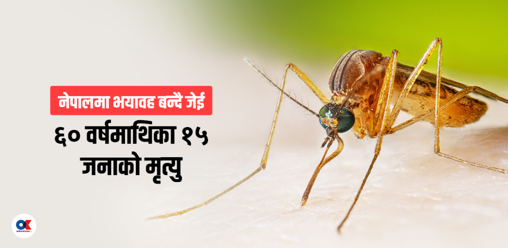 नेपालमा जेई भयावह बन्दै, संक्रमित मध्ये १९ प्रतिशतको मृत्यु