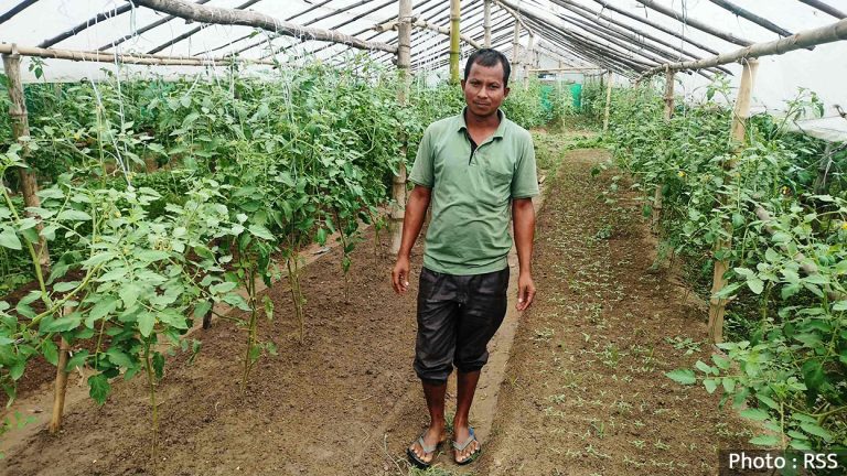 पहिले मजदुरी गर्थे, अहिले अरुलाई रोजगारी दिने किसान बने