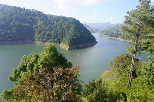 विषादी मिसिएको पानीले कुलेखानीमा घट्यो माछा उत्पादन