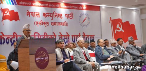 प्रधानमन्त्रीकै अभिव्यक्तिले सरकार टिक्दैन कि भन्ने प्रश्न जन्मायो: माधवकुमार नेपाल