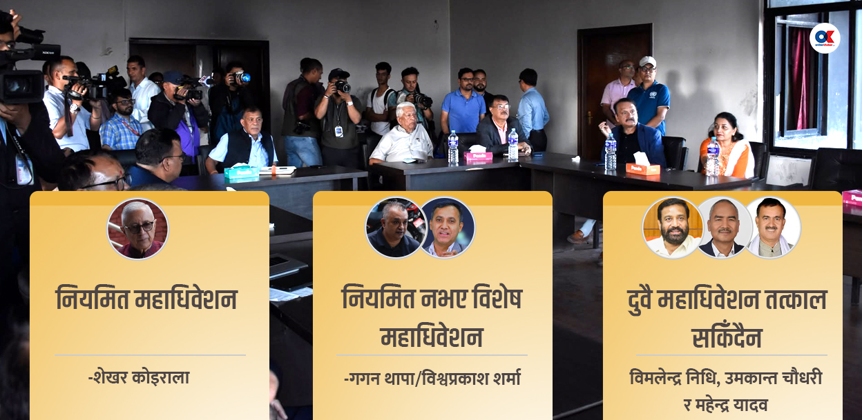 नेतृत्व परिवर्तनको सकस :  कांग्रेस बैठकमा तीनथरी मत