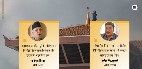 प्रतिनिधिसभा पुनर्स्थापनाको माग अदालत लैजाने सुषुप्त गृहकार्य