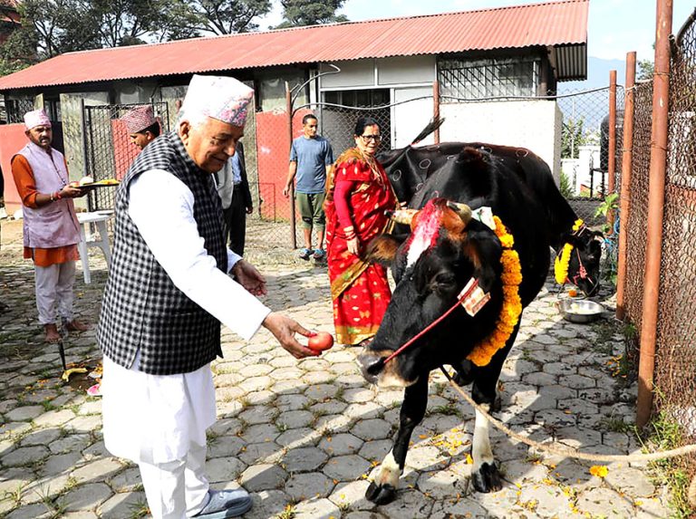 राष्ट्रपति पौडेलद्वारा गाई पूजा