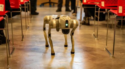 युद्ध लड्ने रोबोट कुकुर बनाउँदै चीन