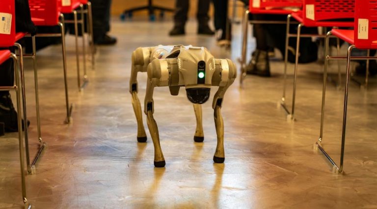 युद्ध लड्ने रोबोट कुकुर बनाउँदै चीन