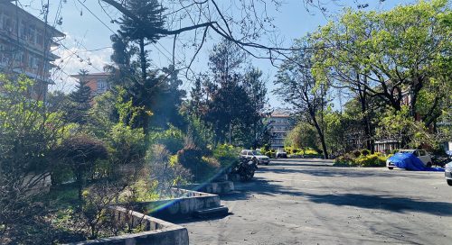 क्षतिग्रस्त सिंहदरबारका भवनमा रङरोगन, जलेका रुखहरुले हाल्दैछन् पालुवा