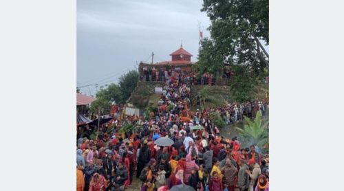 तनहुँको थानीमाई मन्दिरमा एकैदिन ८६ फूलका डोली भित्रिए