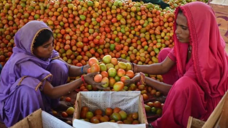 पाकिस्तानमा गोलभेडाको मूल्य प्रतिकिलो ७०० रुपैयाँसम्म