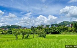 आज देशभरको मौसम मुख्यतया सफा रहने
