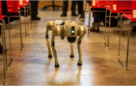 युद्ध लड्ने ‘रोबोट कुकुर’ बनाउँदै चीन