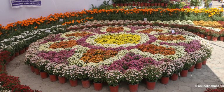५ चैतदेखि भृकुटीमण्डपमा ‘फ्लोरा एक्स्पो’ हुने