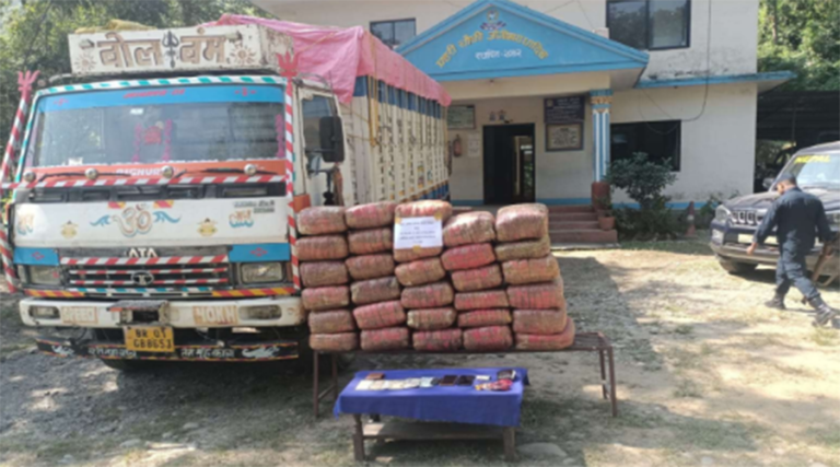 भारतीय नम्बर प्लेटको ट्रकबाट २१९ केजी गाँजा बरामद