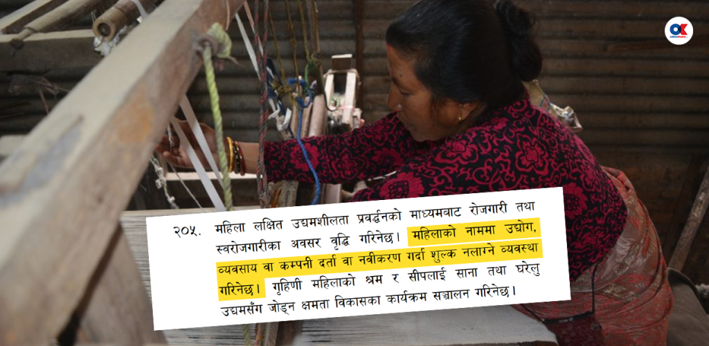 महिलाका नामका व्यवसाय निःशुल्क दर्ता गर्ने बजेटको घोषणा भएन कार्यान्वयन