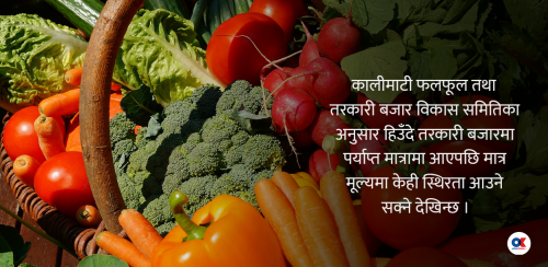 तरकारीको भाउ ५०० प्रतिशतसम्म वृद्धि, किन बढिरहेछ निरन्तर ?