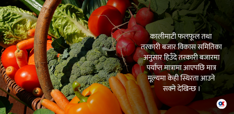 तरकारीको भाउ ५०० प्रतिशतसम्म वृद्धि, किन बढिरहेछ निरन्तर ?