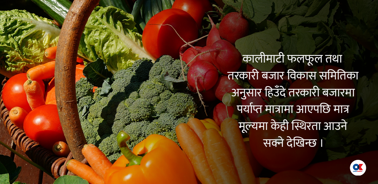 तरकारीको भाउ ५०० प्रतिशतसम्म वृद्धि, किन बढिरहेछ निरन्तर ?