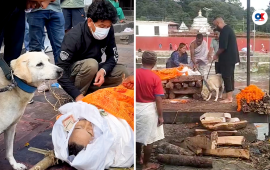 हृदयविदारक दृश्य : मालिकको निधनमा जब कुकुरलाई श्रद्धाञ्जली दिन लगियो