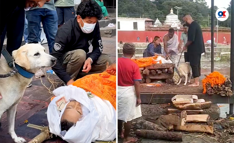 हृदयविदारक दृश्य : मालिकको निधनमा जब कुकुरलाई श्रद्धाञ्जली दिन लगियो