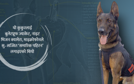 एक कुकुर, जसलाई ‘खुंखार आतंकवादी’ मार्ने मिसनमा पठाइयो