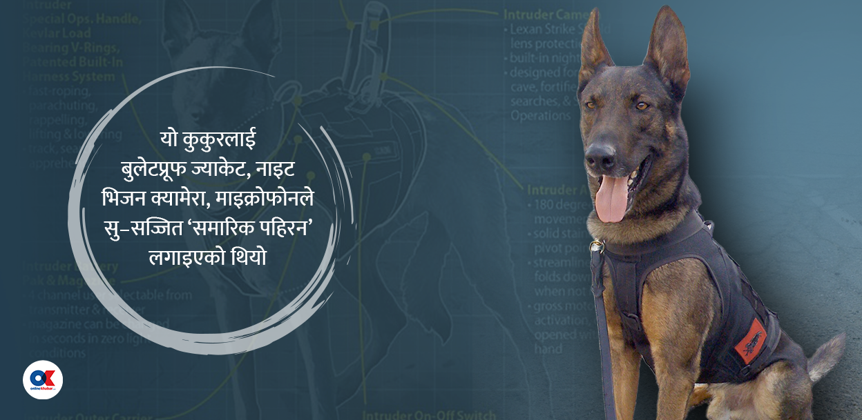 एक कुकुर, जसलाई ‘खुंखार आतंकवादी’ मार्ने मिसनमा पठाइयो